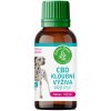 Zelená Země CBD kĺbová výživa pre psov – sirup (100 ml)