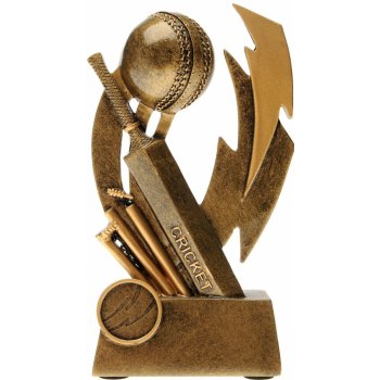 Glenway Cricket Trophy