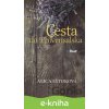 E-kniha Cesta do Provensalska - Alica Eštoková