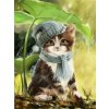 Norimpex Diamantové maľovanie Mačiatko s čiapkou a šálom 30 x 40 cm