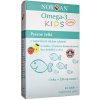 Norsa n Omega-3 detské žuvačky, Citrón a jahody RAW - 45 kusov