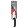 Victorinox 6.8006.19L4B 19 cm
