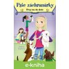 E-kniha Psie záchranárky: Prvý raz do akcie - Daphne Maple, Annabelle Métayer (ilustrátor)