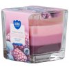 Bispol Aura Frozen Berries 170 g