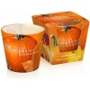 Sviečka v skle Pumpkin Season 115 g - Bartek Candles