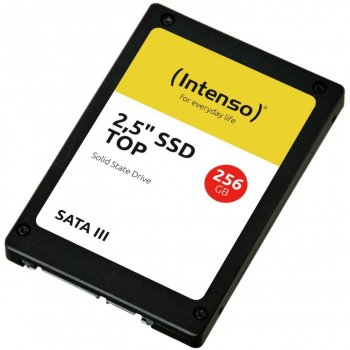 Intenso 256GB 3812440