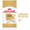 ROYAL CANIN Labrador Retriever Adult 5+ 12 kg granule pre labrodorské retrívry starších ako 5 rokov