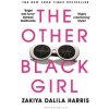The Other Black Girl