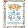 Special Effects Lettering and Calligraphy: A Beginner's Step-By-Step Guide to Creating Amazing Lettered Art - Explore New Styles, Colors, and Mediums (Brožovaná)