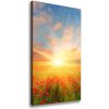 Vertikálny foto obraz na plátne do obývačky Pole makov 50x100 cm