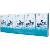 Linteo Classic hygienické vreckovky 2-vrstvové 10 x 10 ks