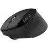Acer Easy Fit Mouse - Black, Wireless RF 2.4GHz + BT (2x) + USB HP.EXPBG.021