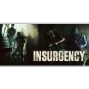 Insurgency