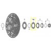 Shimano Pastorok 14z. CSM9100 12-k.