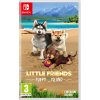 Little Friends: Puppy Island (Switch)