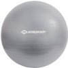 Schildkröt Gymnastic Ball 55cm