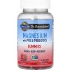 Garden of Life Dr. Formulated Magnesium s prebiotikami a probiotikami, malina, 60 gumových cukríkov Výživový doplnok