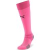 Puma teamFINAL 21 Socks
