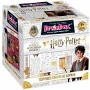 Dosková hra BrainBox Harry Potter