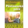 Pěstounská péče