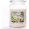 BISPOL Blooming Jasmine 500 g