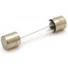 Balboa Water Group Balboa Poistka 1/8A 31mm Glass Fuse A/S - 26397