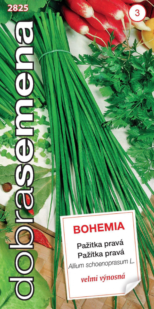 Dobré semená Pažítka - Bohémia 2g