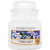 Yankee Candle Midnight Jasmine 104 g vonná svíčka