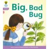 Oxford Reading Tree: Level 1+: Floppy's Phonics Fiction: Big, Bad Bug! (Roderick Hunt,Kate Ruttle)(Brožovaná)