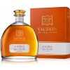 Vaudon Cognac Extra Fins Bois 44% 0,7 l (kartón)