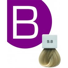 Berrywell farba na vlasy 9,8 61 ml