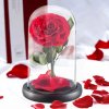 Červena stabilizovaná ruža v skle – “Maxi”