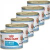 Royal Canin Starter Mousse konzerva pre brezivé alebo dojčiace suky a šteňatá 6 x 195 g