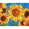 ZUTY Maľovanie podľa čísel SLNEČNICE PODĽA VAN GOGHA Rámovanie vypnuté plátno na rám Rozmer 80x100 cm