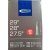 Schwalbe FV