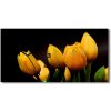 Vodorovné Sklenené hodiny na stenu tiché Žlté tulipány 60x30 cm