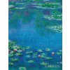 Claude Monet Daily Planner 2026 (Brožovaná)