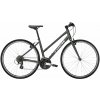 Dámsky trekingový bicykel Trek FX 1 Stagger - lithium grey L 2024