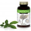 Apothecary Masticha Active 100 kapsúl