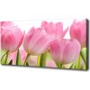 Foto obraz na plátne Ružové tulipány 100x50 cm