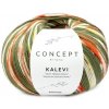 KALEVI SOCKS Katia Farby KALEVI: 203 khaki mix