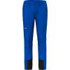 Pánske nohavice Salewa Agner Orval 3 DST M Reg Pants M