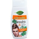 BC Bione Bio Cannabis šampón proti lupům pro muže 250 ml