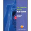 Endocrine System at a Glance 3e (Ben Greenstein)(Brožovaná)