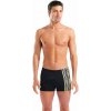 Arena Performance Stripes Swim Short
