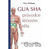 Gua sha - průvodce léčením těla - Clive Witham