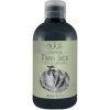 BES Fragrance Melóon Juice Shampoo 300ml - vlasový šampón s vôňou melónu