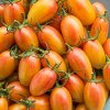 paradajka blush, blush tomato, cherry paradajka, semena paradajok, kolíková paradajka, sladká paradajka, žltá paradajka, oranžová paradajka, odroda blush, semienka paradajky blush, farmalekvarik, rajč