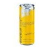 Red Bull Energy Drink Tropical edition 250 ml