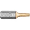Graphite Bity Torx TX10 x 25 mm, 2 ks 57H971